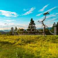 Beauty Rothaar Mountains