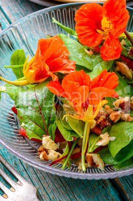 Summer nasturtium salad
