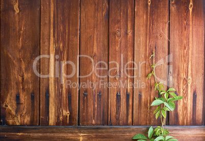 old wood rough texture background in row