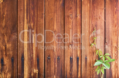 old wood rough texture background in row