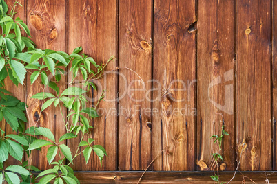 old wood rough texture background in row