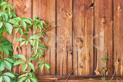 old wood rough texture background in row