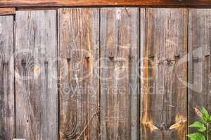 old wood rough texture background in row