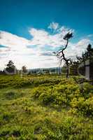 a german Beauty Rothaar Mountains