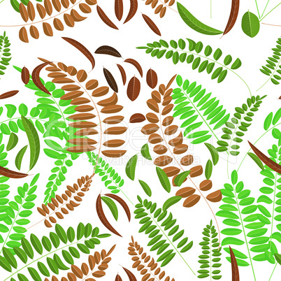 Seamless pattern with green and ginger acacia leaves isolated on white on background. Vector illustration, autumn, acacia, leaves.