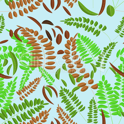 Seamless pattern with green and brown acacia leaves on light blue background. Vector illustration, acacia, leaves.