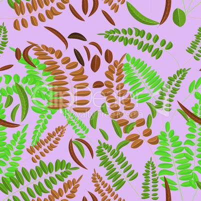 Seamless pattern with green and ginger acacia leaf on violet background. Vector illustration, autumn, acacia leaves