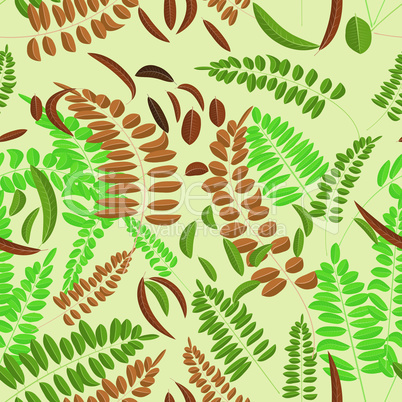 Seamless pattern with green brown and ginger acacia leaf on yellow background. Vector illustration acacia leaves