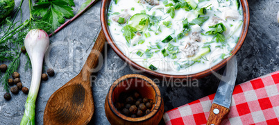 Okroshka,cold summer soup