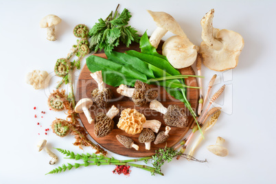 Spring wild food, mushrooms and plants, top view