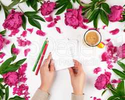 women's hands are holding a blank white sheet of paper