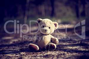 teddy bear sitting in the middle of the forest
