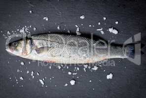 fresh whole sea bass fish with salt on black background