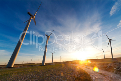 Wind mills landscape