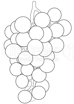Outlines of a bunch of grapes