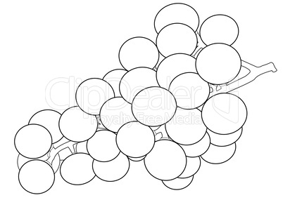 Outlines of a bunch of grapes