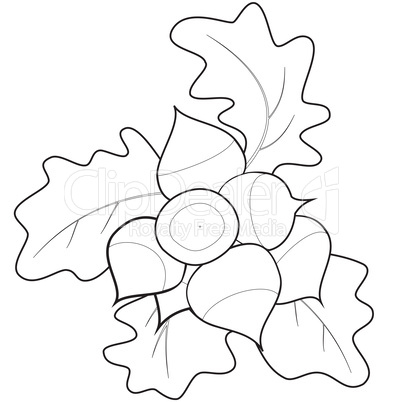 Radish bunch outlines