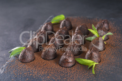 Homemade chocolate truffles with mint sprinkled with cocoa powde