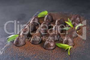 Homemade chocolate truffles with mint sprinkled with cocoa powde