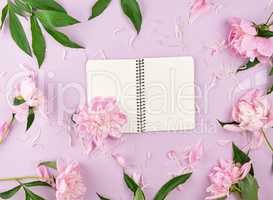 open spiral notebook with blank white pages
