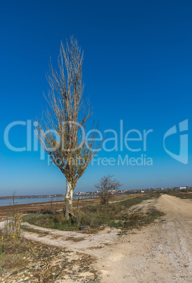 Deserted beach in Koblevo, Ukraine