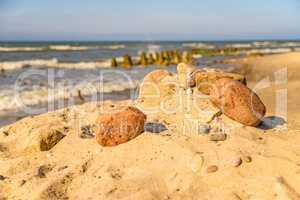 lonesome, unaffected beach of the Baltic Sea in Poland