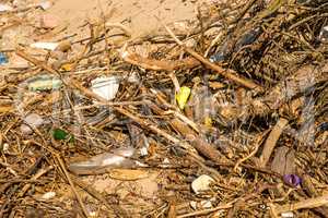 marine pollution on a beach of the Baltic sea in Poland