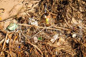 marine pollution on a beach of the Baltic sea in Poland