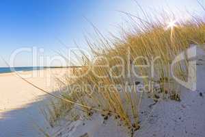 beach of the Baltic sea with beach grass and park bench in back light