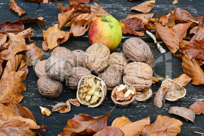 Walnuts, autumn leaves and wild apples