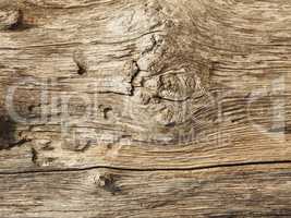 Old wooden texture