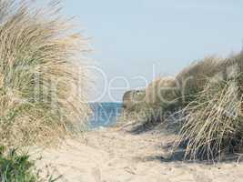 Pathway to the beach