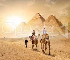 Caravan and the Pyramids