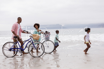 Family walking with bicycle on a sunny day