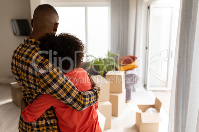 Couple embracing each other in living room at home