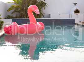 Pink flamingo bird shape inflatable tube floating in a swimming pool