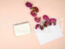 notebook with blank sheets and Turkish carnation Dianthus barbat