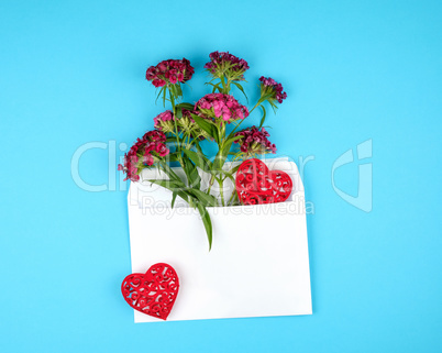 Dianthus barbatus flower buds and a white paper envelope