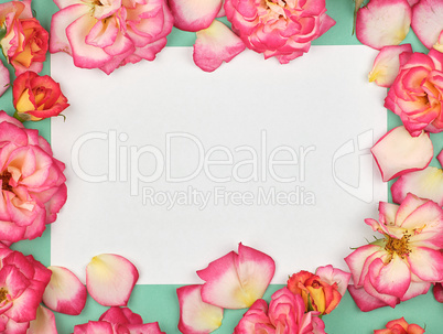pure white paper sheet and buds of pink roses, festive backgroun