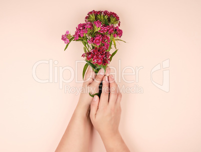 female hands with light smooth skin and buds of a blossoming Tur
