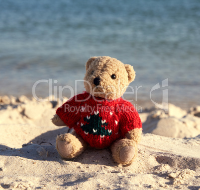 brown teddy bear in a red sweater sitting  on the sandy seashore