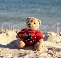 brown teddy bear in a red sweater sitting  on the sandy seashore