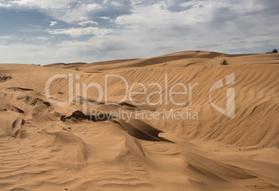 Beautiful structure of dense yellow sand, dunes of the desert.