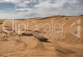 Beautiful structure of dense yellow sand, dunes of the desert.