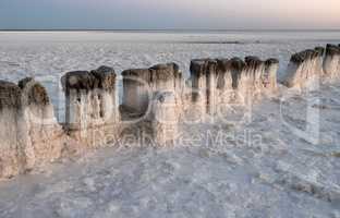 Old wooden logs are Packed deep into the salty lake.