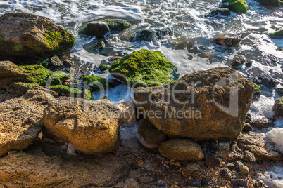 Sea foam and stones on the shore