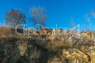 Trees and limestone on the slopes by the sea