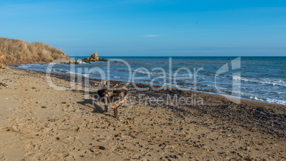 Sunny autumn day on the seashore