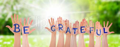 Many Hands Building Be Grateful, Sunny Grass Meadow