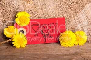 Red Label, Dandelion, Calligraphy Thank You, Wooden Background